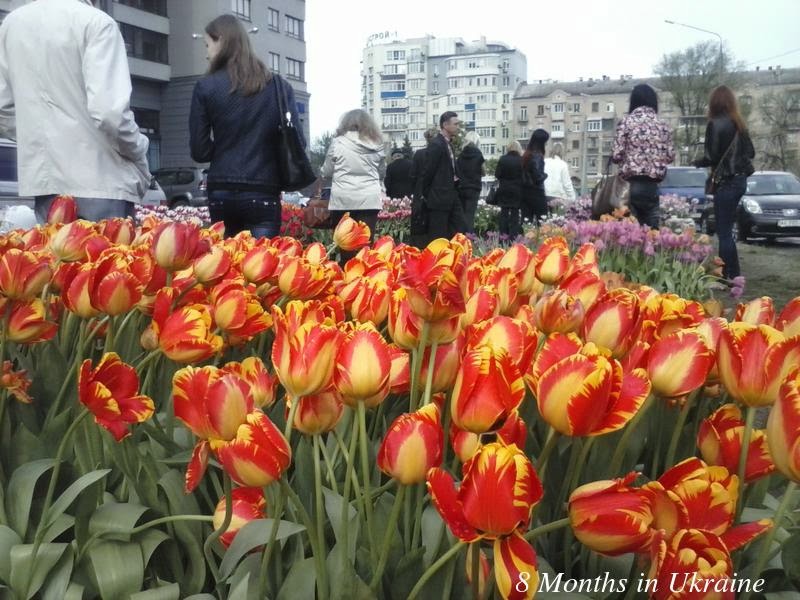 8 Months In Ukraine Ukrainian Spring