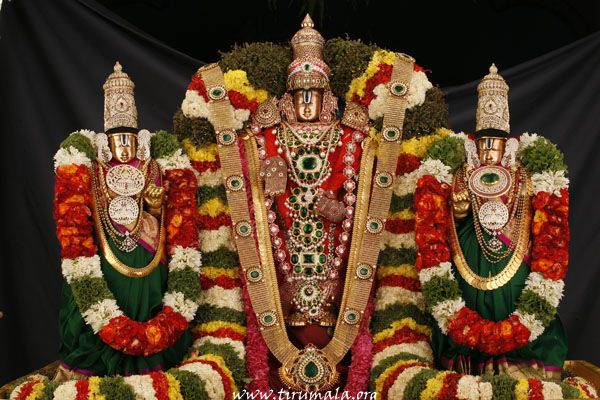 30+ Thirupathi Perumal Images Free Download Images