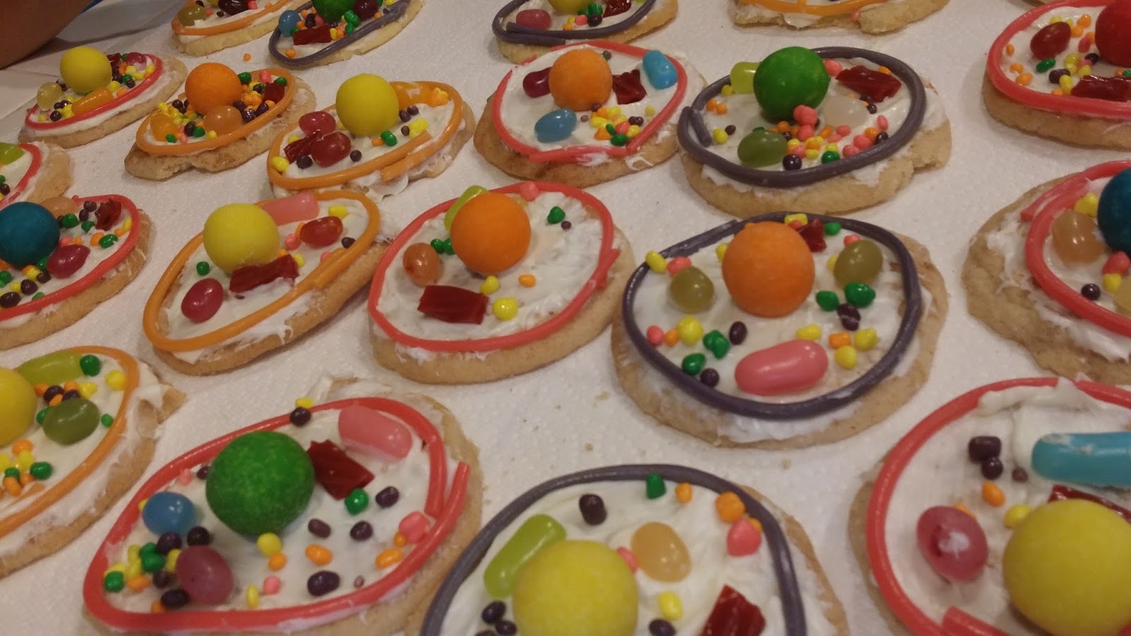 Lights... Camera... TEACH!: Eating Your Animal Cell