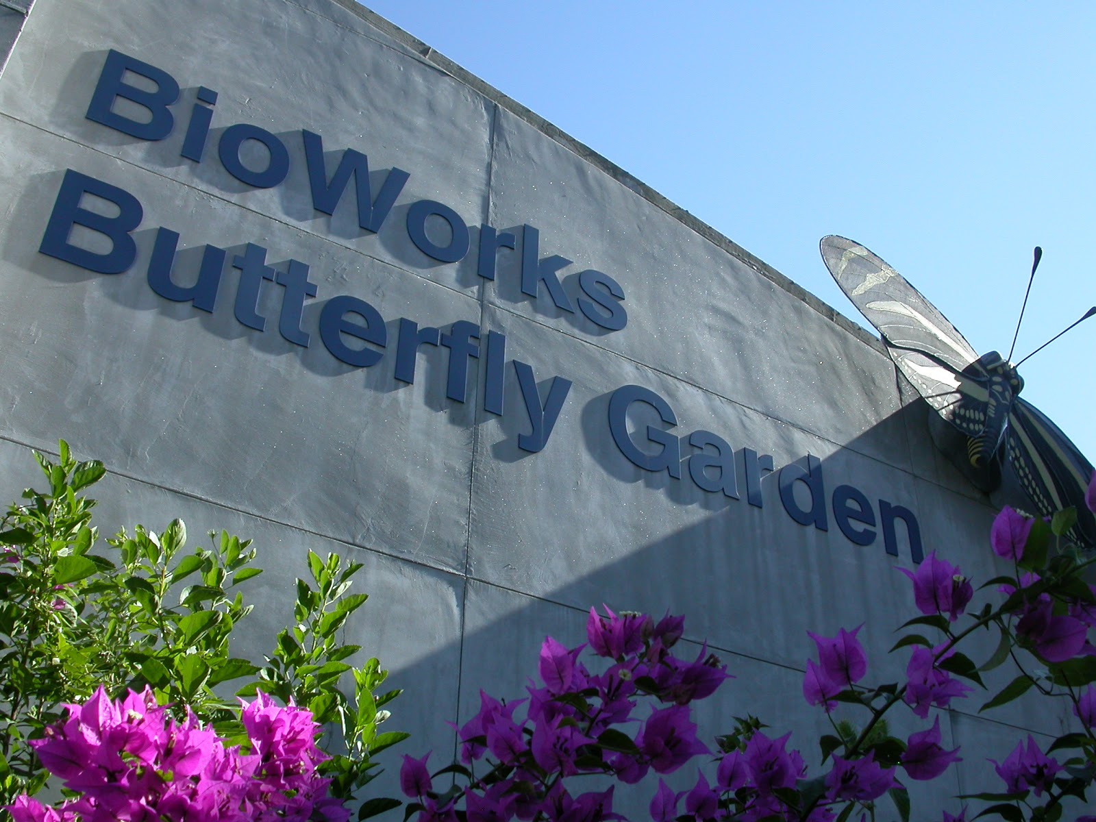 Mosi Outside Butterfly Garden Exhibit