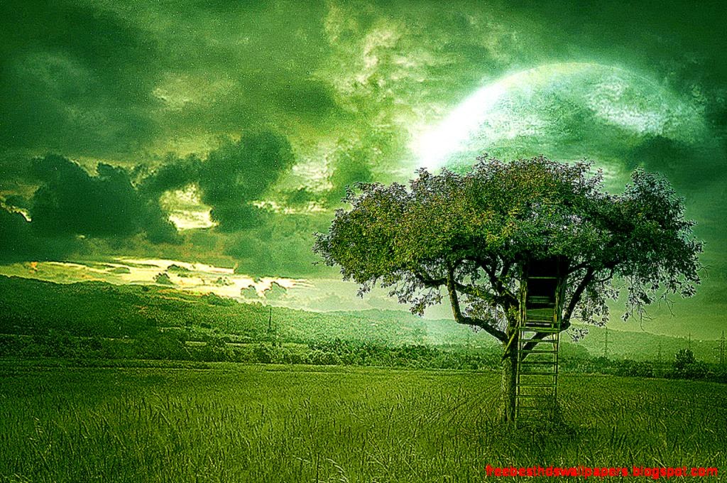 Wallpaper 1 Wallpaper 1