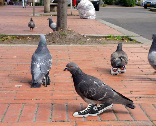 pigeon toed running shoes running shoes for pigeon toed runners 28 images weak pigeon toed running shoes running shoes for pigeon toed runners 28 images weak