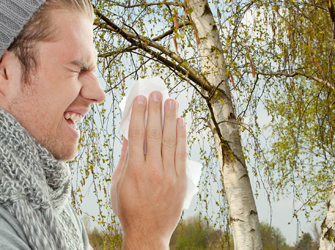 apple allergy