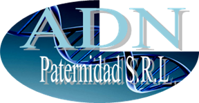 ADN Paternidad S.R.L.