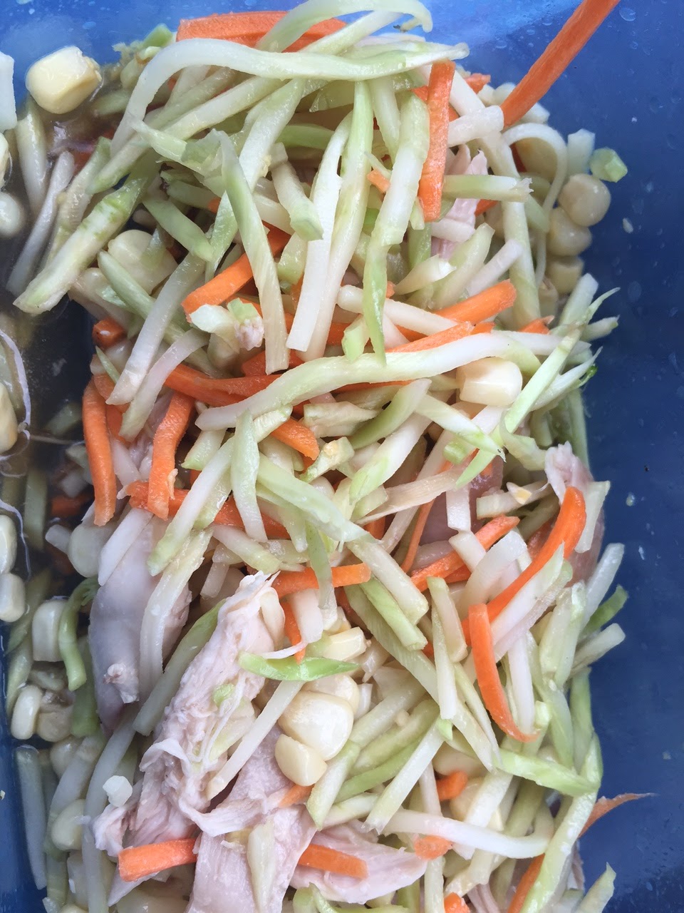 Life Light Up Recipe Asian Vinaigrette from Fixate Cookbook