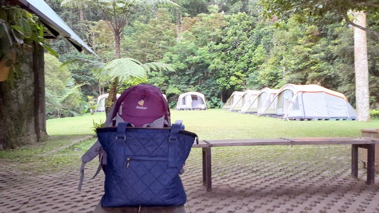 Kiddos' Travel Stories: 5 Hal Yang Perlu Diketahui Sebelum Camping di
