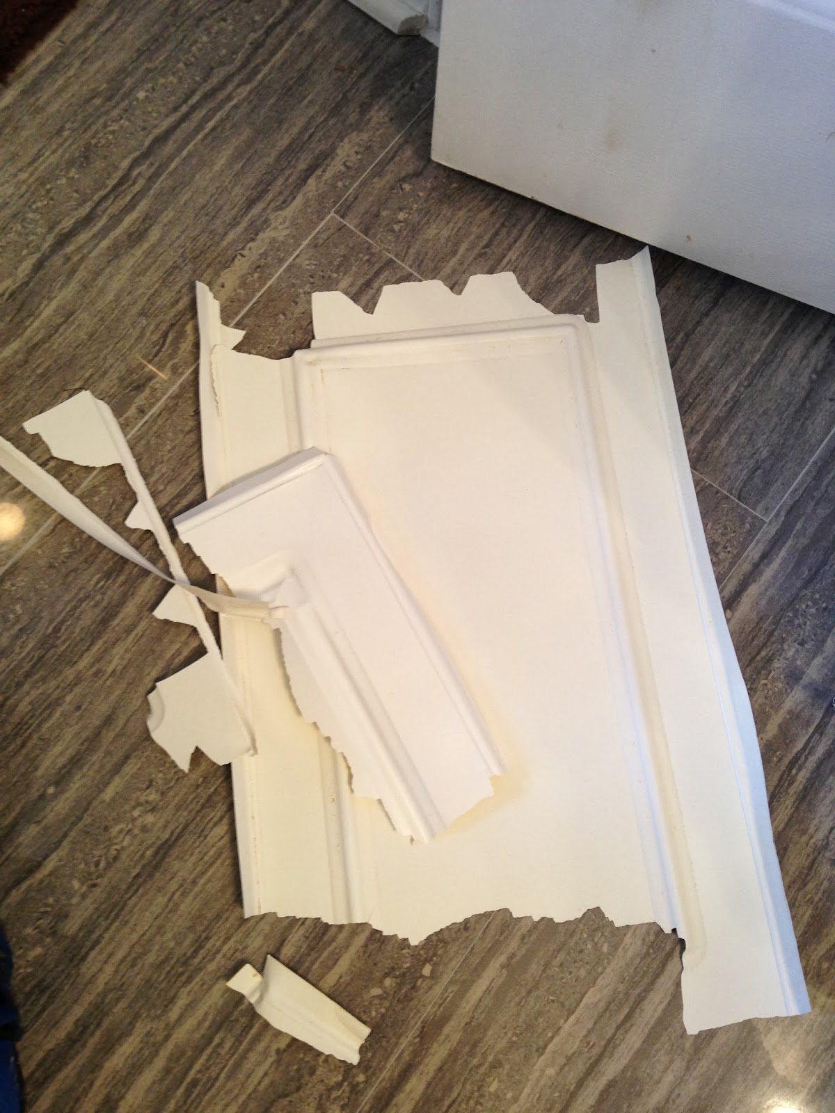 The ragged wren Painting Laminated