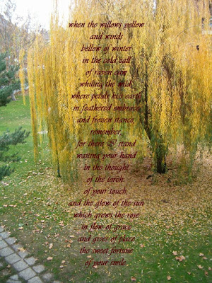 Our Wedding Day 12 02 06 to you my Love when the willows yellow