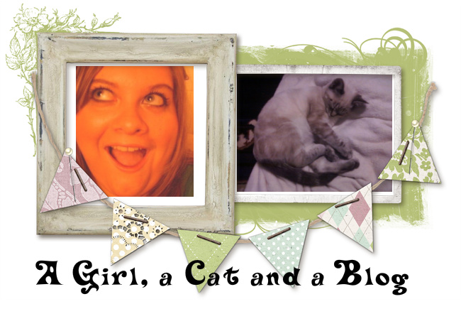A Girl, a Cat and a Blog