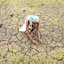 महाराष्‍ट्र - औरंगाबाद में 58 दिन में 135 किसानों ने की खुदकुशी