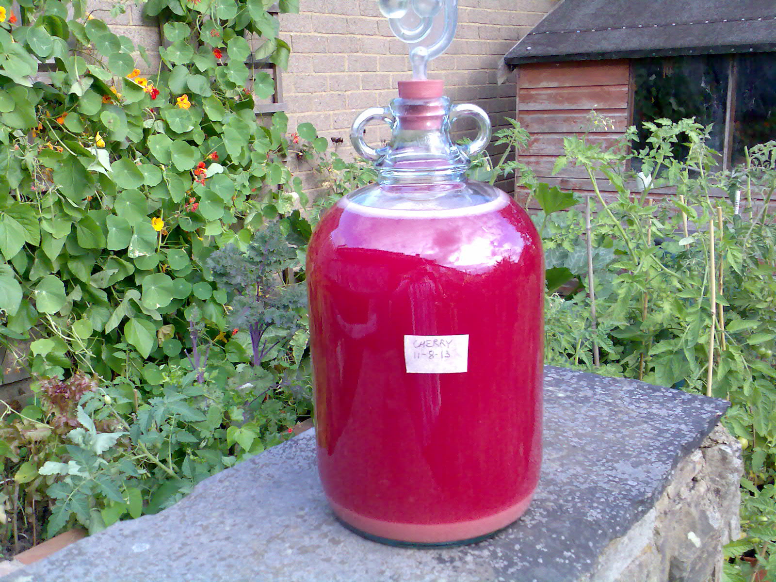Ben's Adventures in Wine Making Cherry Wine The Making Of