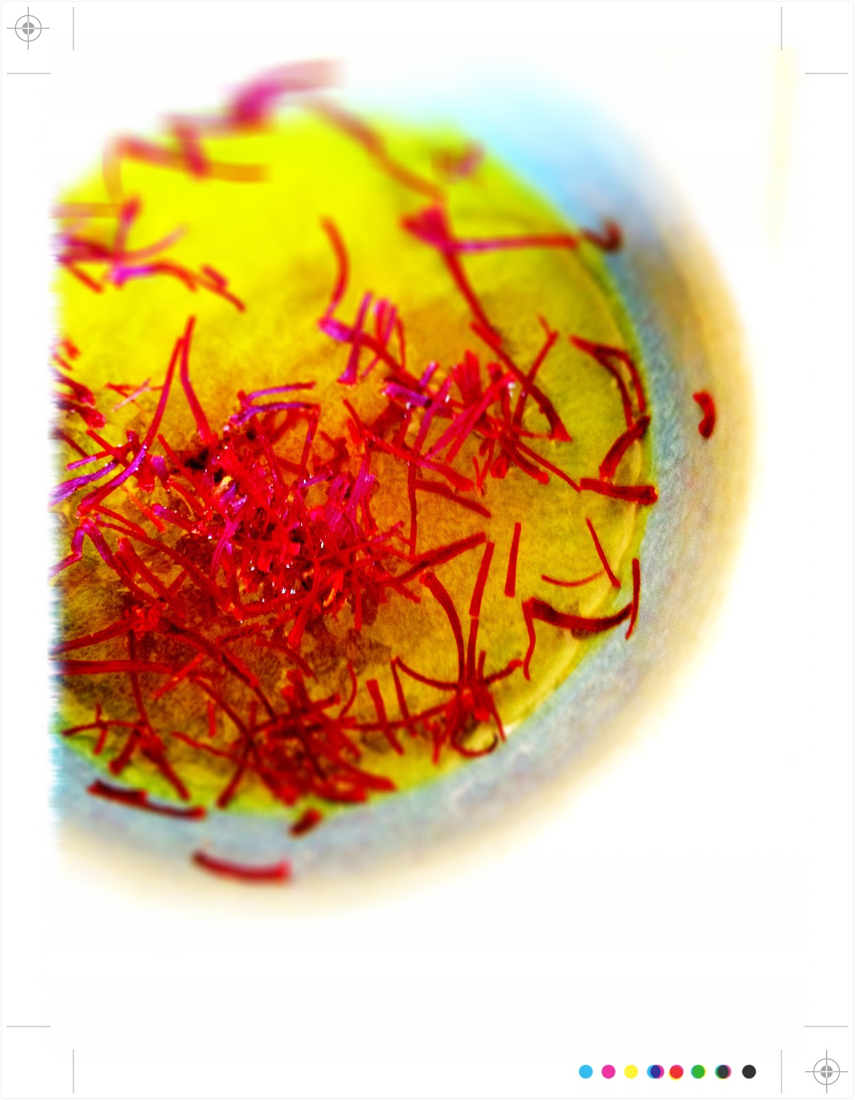 Toast Chicken Saffron & Herb Salad; from Ottolenghi's Jerusalem IHCC