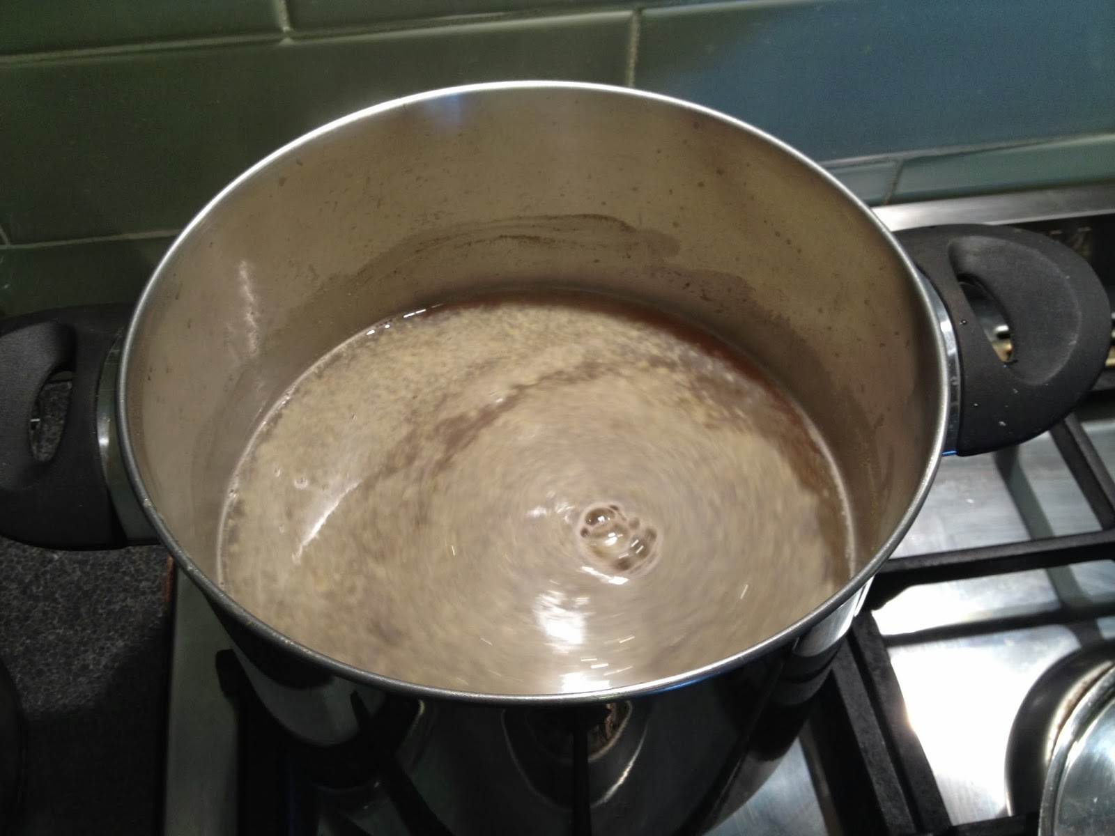 Brewing Beer From Scratch The Greening of Gavin