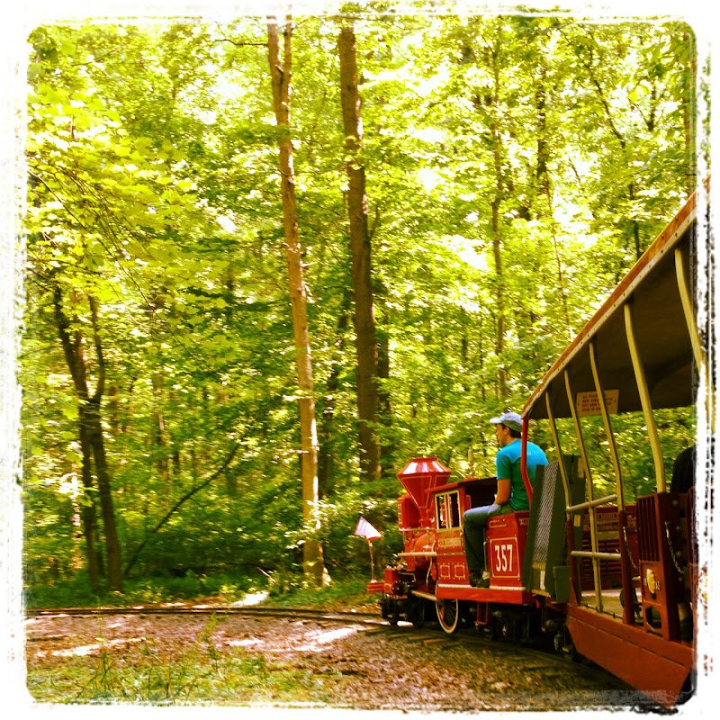 NotSoSAHM Stop That Train Wheaton Regional Park