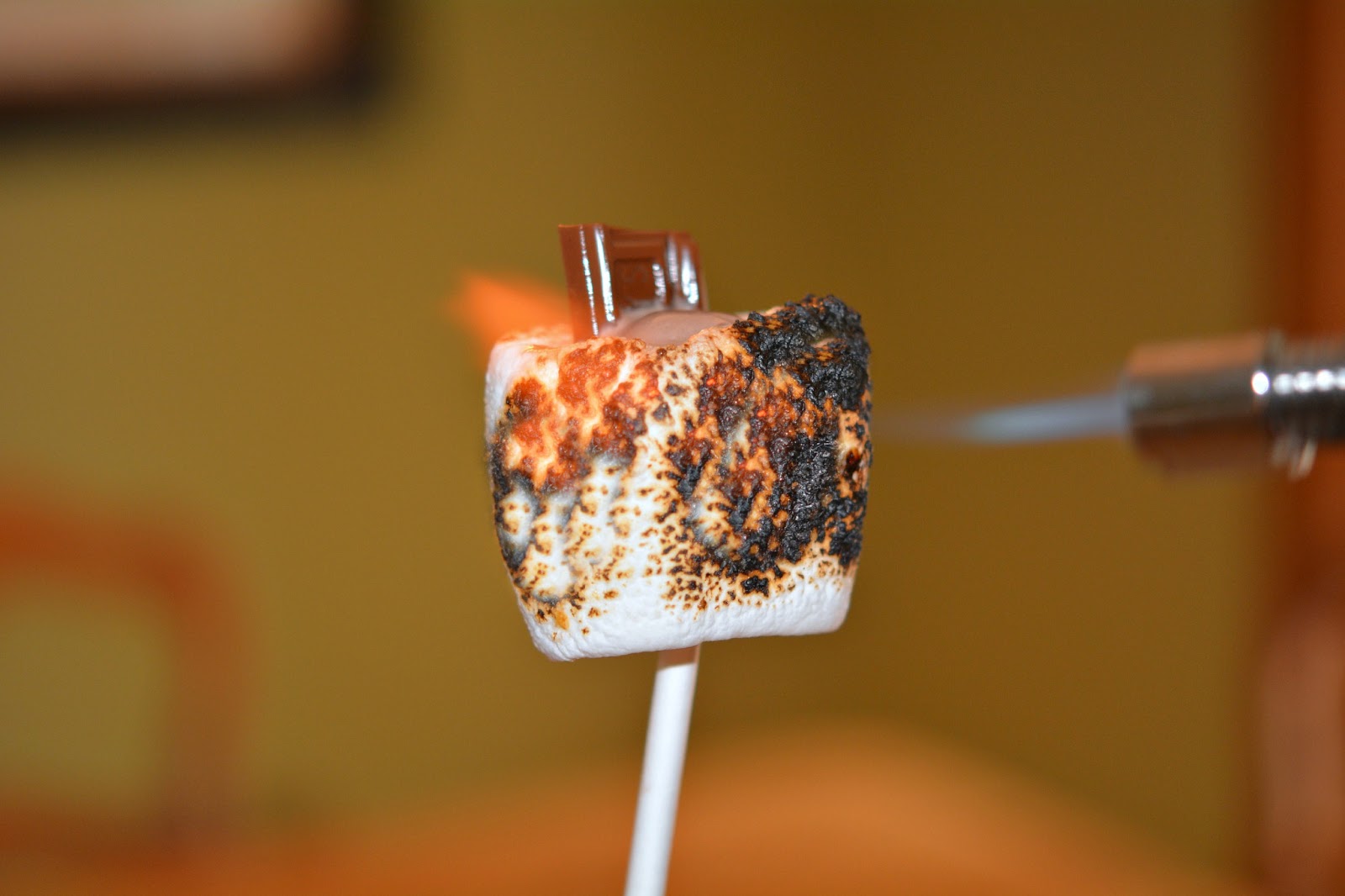 JUMBO TOASTED MARSHMALLOWS STUFFED WITH ICE CREAM & HERSHEY BARS! Hugs and Cookies XOXO