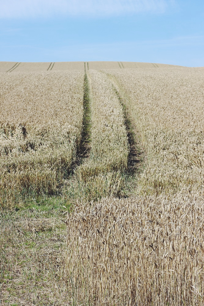 Danemark Luxus Landschaft Teil 4 Willa S Cherry Bomb