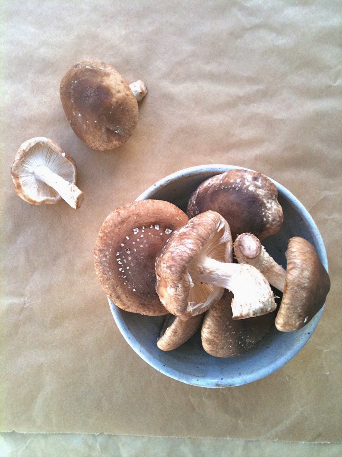 Passionately Raw! Mushroom Ceviche