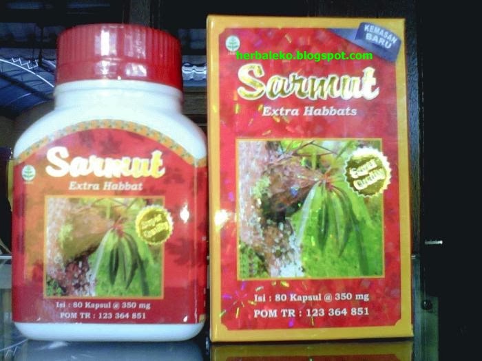 jual kapsul ekstrak sarang semut ekstra habbats jual kapsul ekstrak sarang semut ekstra habbats