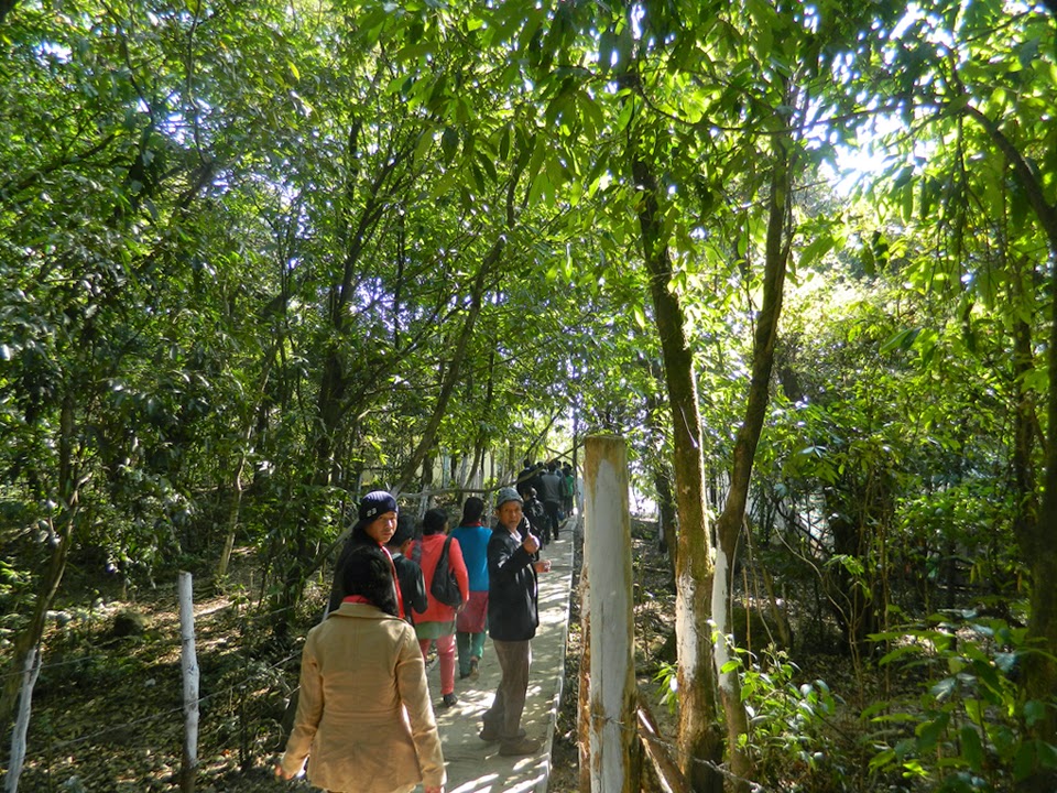 Thangkharang Park:... - Beautiful Places In Meghalaya | Facebook