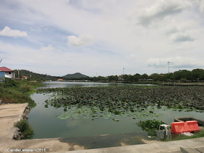 Cleaning of Chaweng lake and klong area 17-19 October