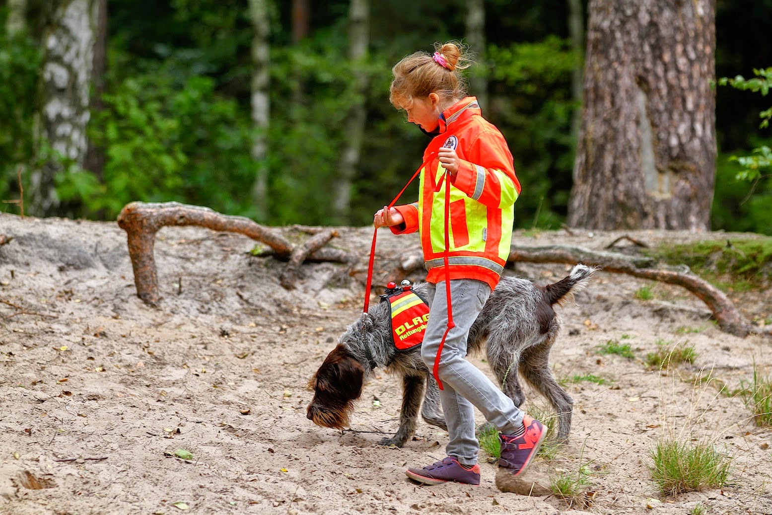 Bernau: Hubschrauber und DLRG Hundestaffel suchten nach vermisster Person - 2 Bernau LIVE - Dein Stadtmagazin für Bernau bei Berlin