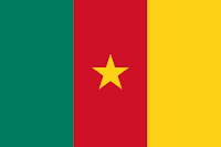 https://en.wikipedia.org/wiki/Flag_of_Cameroon#/media/File:Flag_of_Cameroon.svg