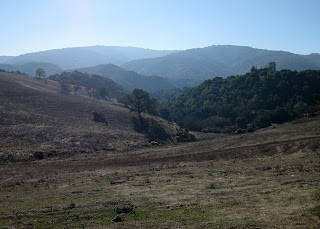 Pasture and distant hills viewed from top of Altamont Road