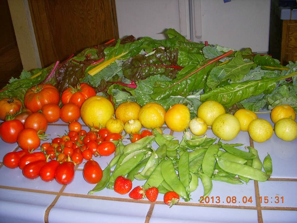 ∞ Fresh harvests from The Eternal Garden ∞ ;)