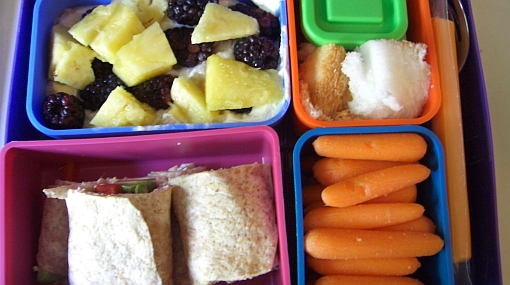 Nutrición en edad preescolar : COMO PREPARAR UNA LONCHERA PARA LOS