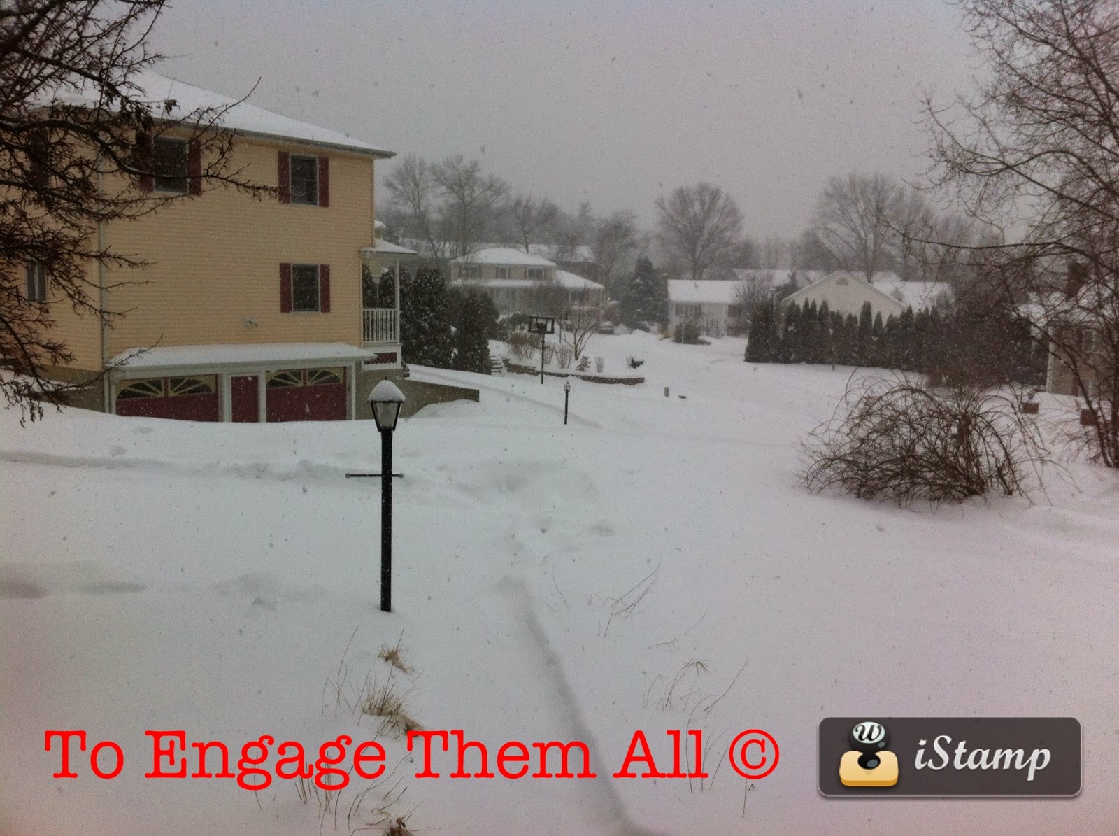 To Engage Them All February 2014