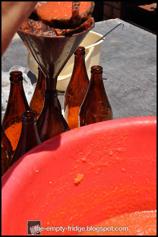 The Empty Fridge. Tomato Sauce Day Italian Backyard Style.