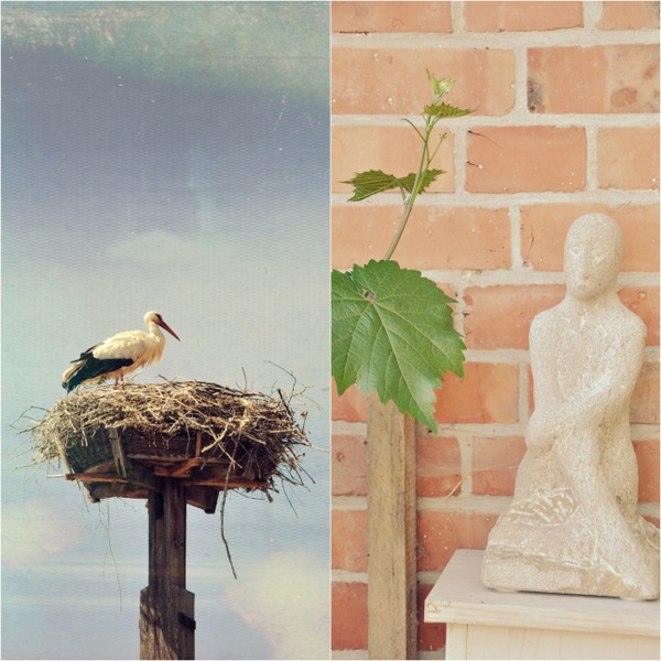 Seite 43 Burgerinitiative Umweltschutz Luchow Dannenberg E V