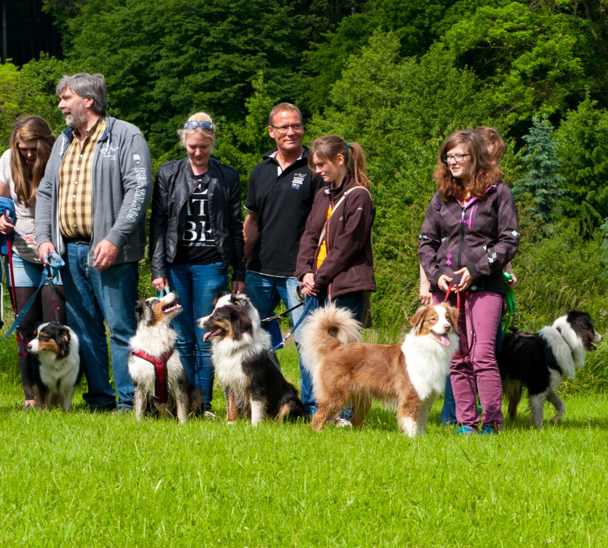 Australian Shepherd`s im Hotel Blumengarten 