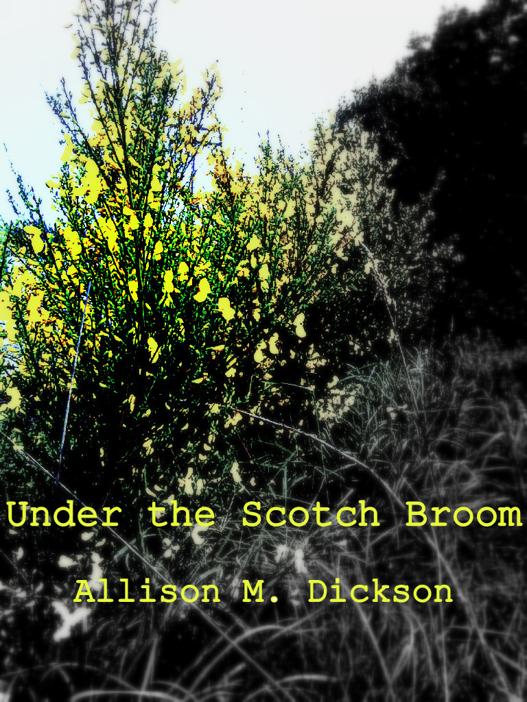 Strings by Allison M. Dickson Strings by Allison M. Dickson