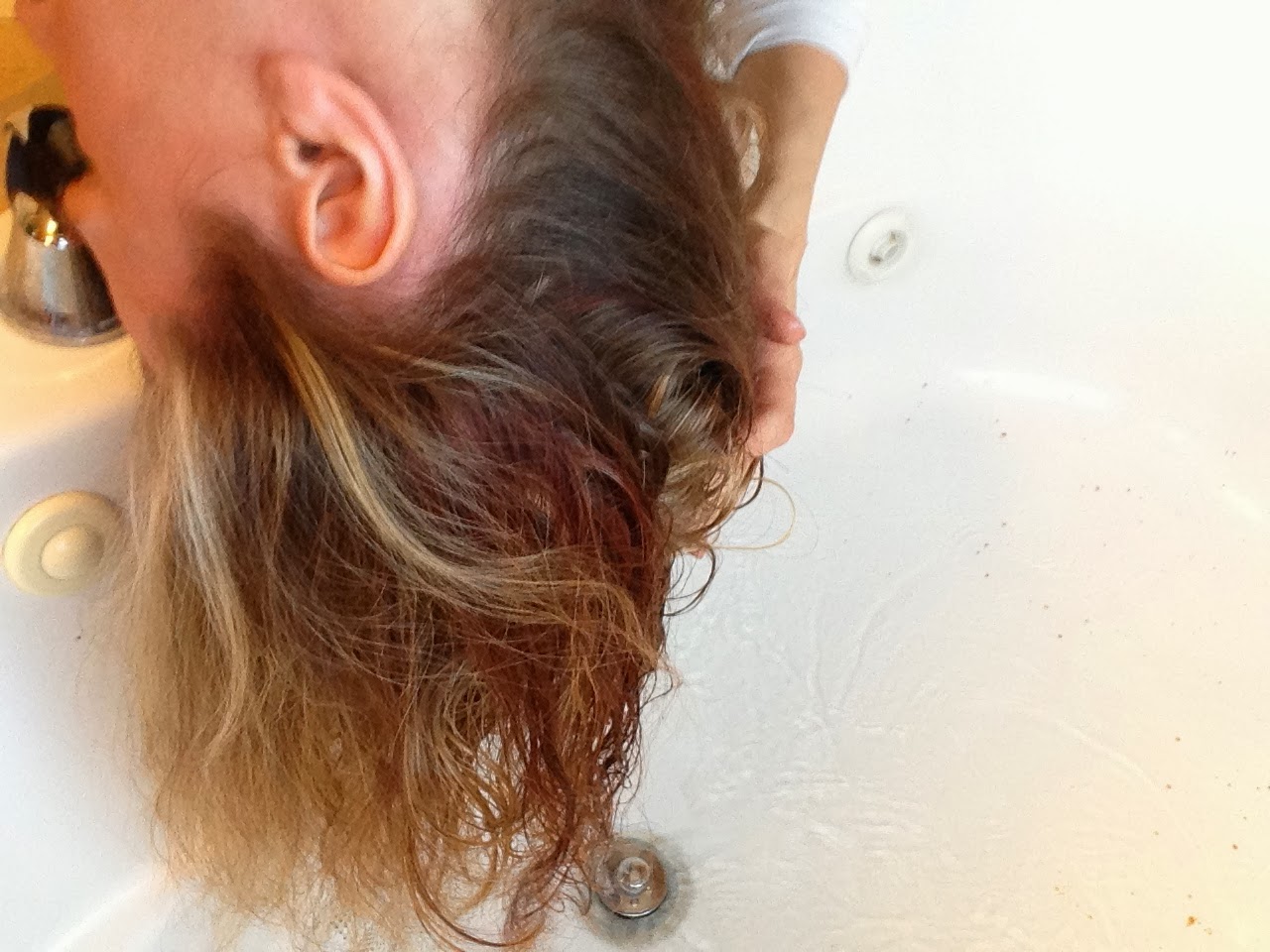 Peacocks and Leopards : The #1 Question I get asked!