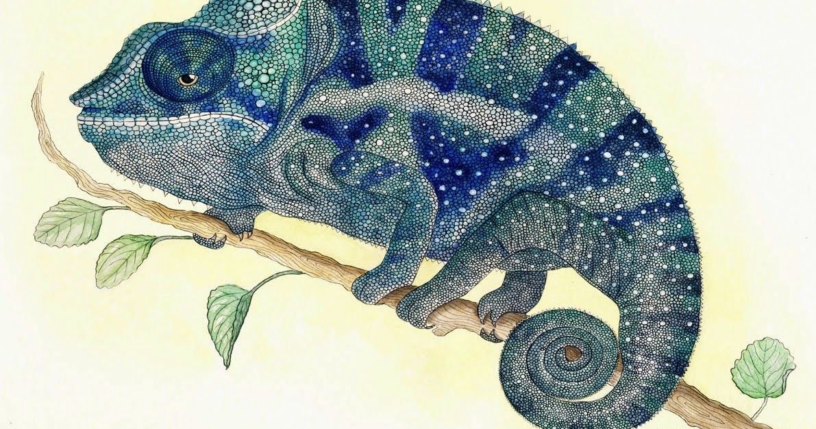 ILLUSTRACIENCIA: Penelope Moreno Sanchez - Camaleón pantera azul