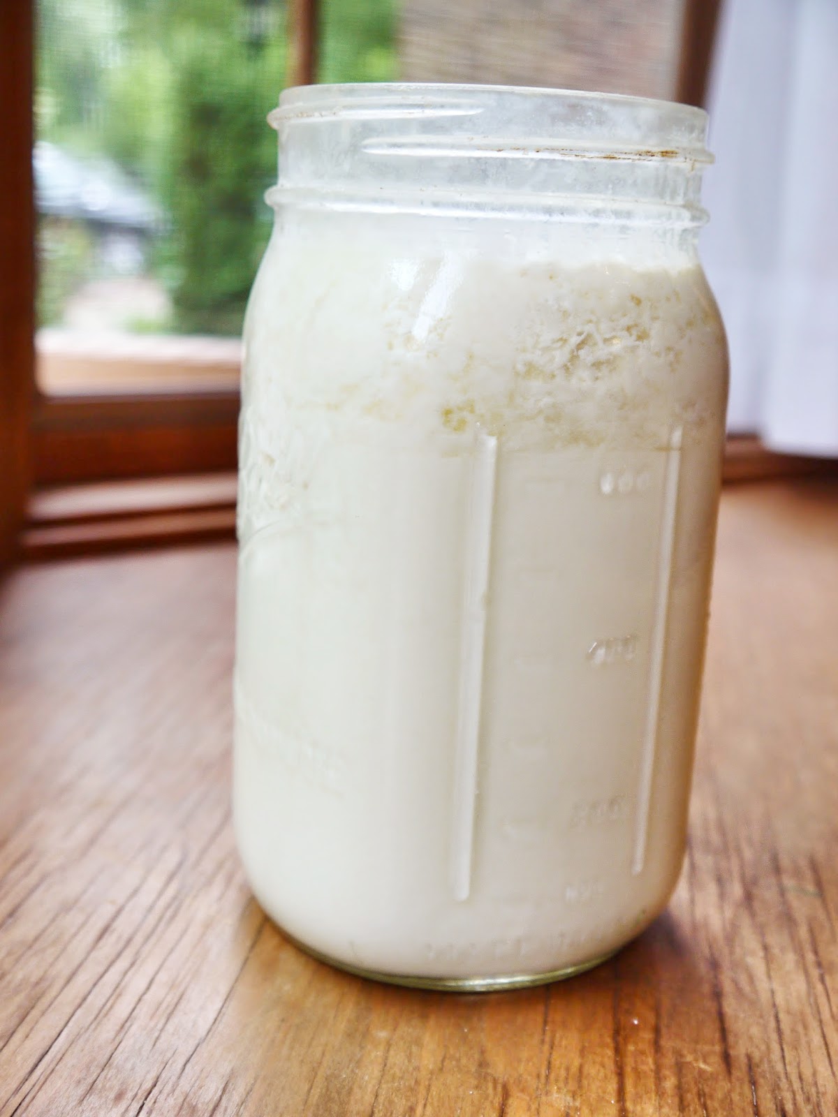 Bint Rhoda's Kitchen All about Milk Kefir + A StepbyStep Tutorial on