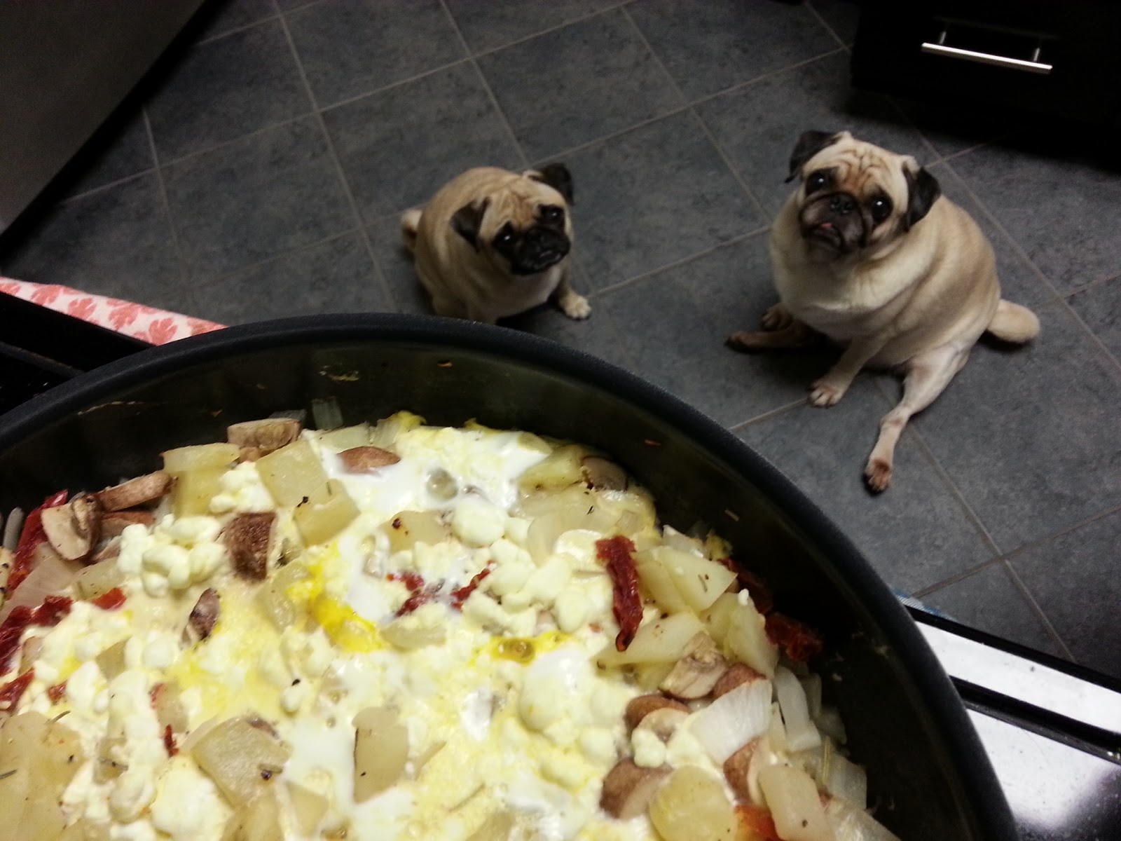 Grubbin' Pugs Spanish "Tortilla"