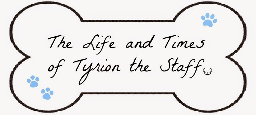 The Life & Times of Tyrion the Staff