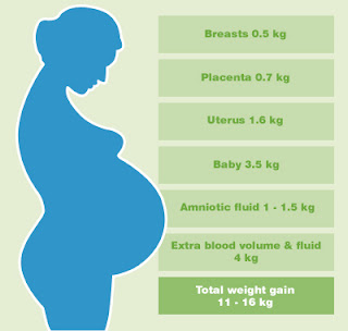 SEARCH AND BUY THIS PRODUCT Pregnancy Weight Gain By Trimester Kg : Can Fibroids Cause Miscarriage