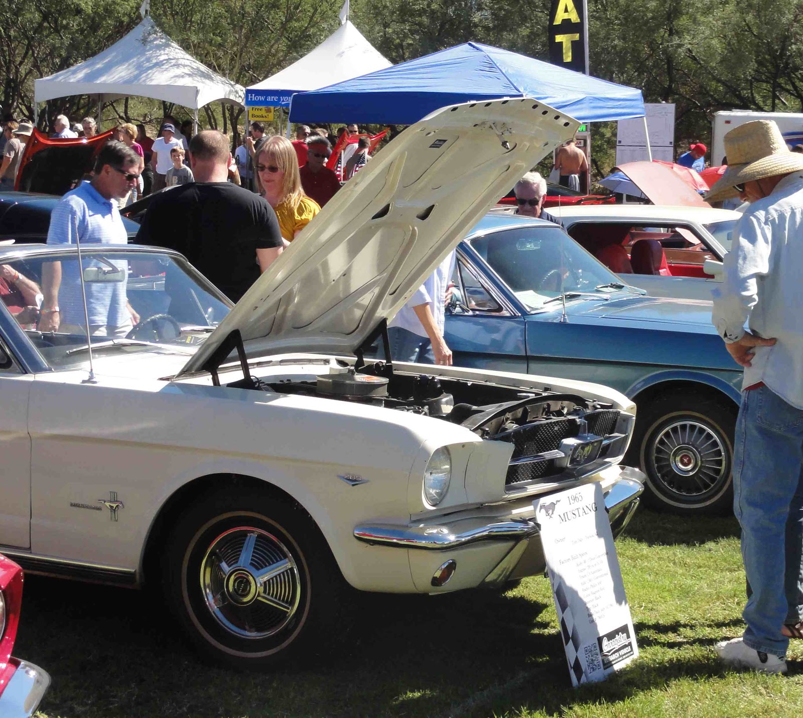 Last weekend we participated in the 6th Annual Tucson Last weekend we participated in the 6th Annual Tucson