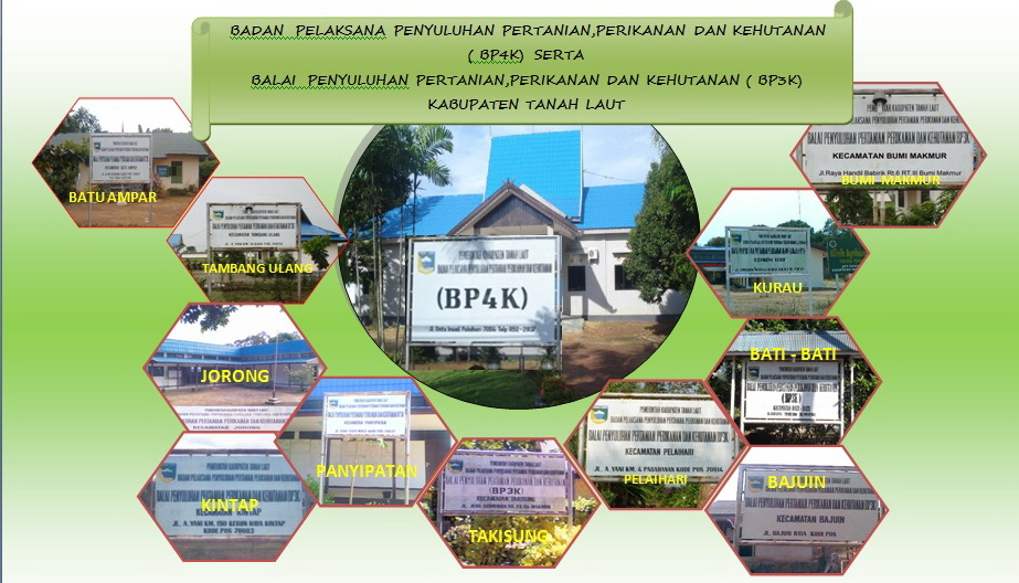 Contoh