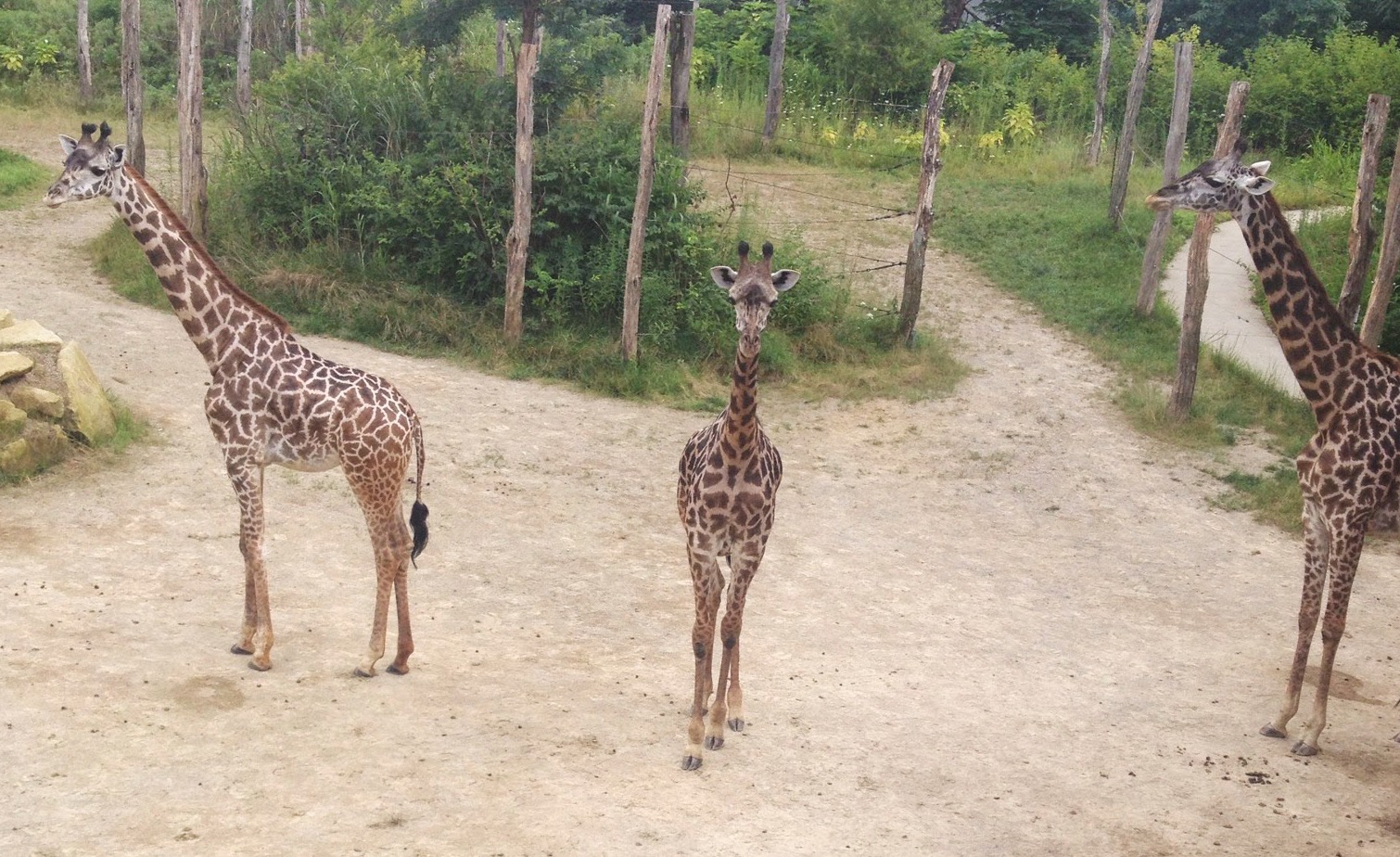 Can You Bring Food To The Cincinnati Zoo at Kathy Fisher blog