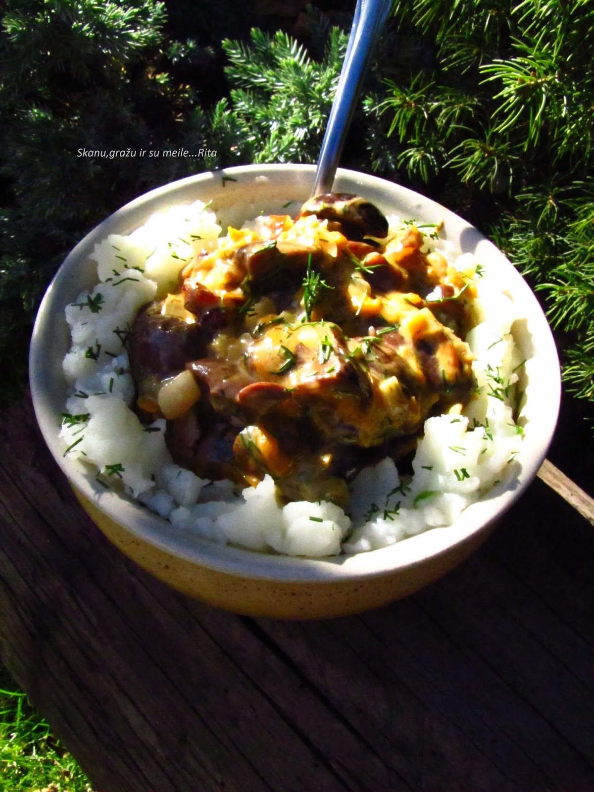 Ritos receptai Miško grybų troškinys