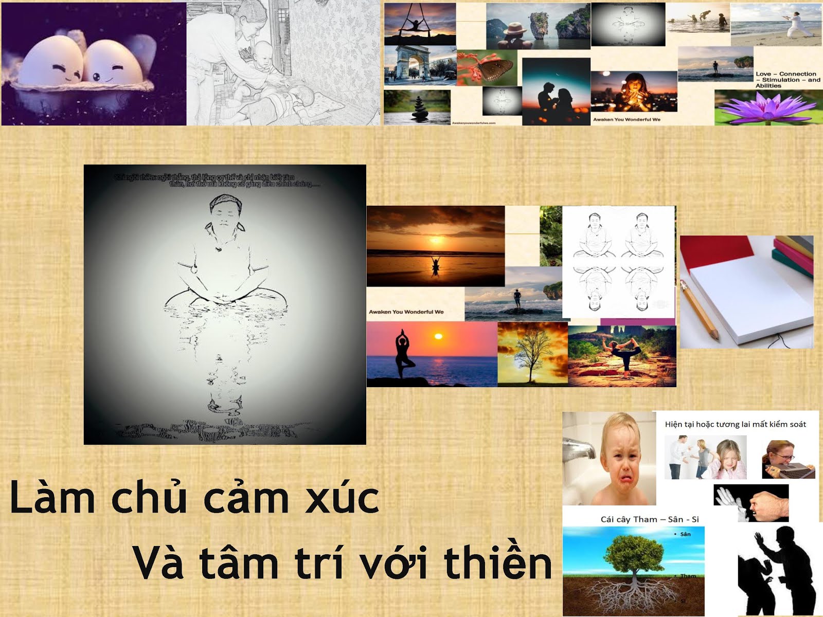 LÀM CHỦ CẢM XÚC VÀ TÂM TRÍ VỚI THIỀN