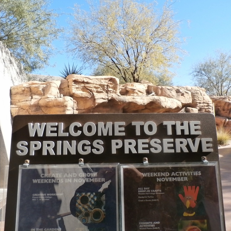 Adventures in Weseland Springs Preserve A Lost Blog