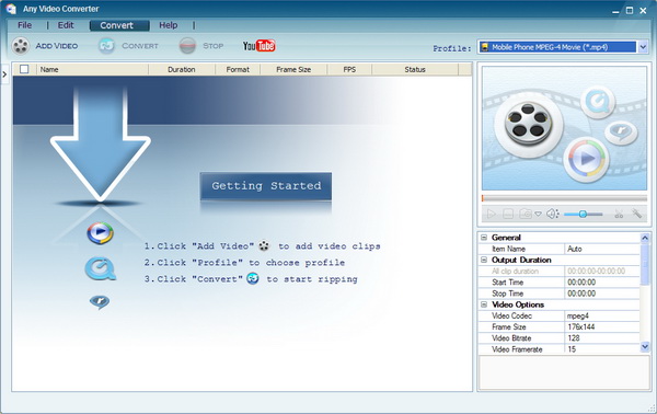 Any video converter professional