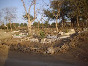 Muslim Graveyard in Sasan Gir.
