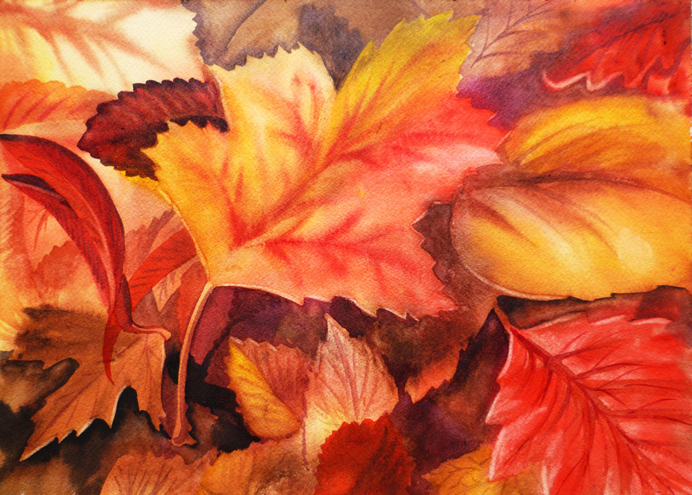 Fall Leaves Fall Decor