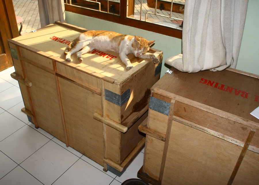 kolom hsgautama: Membuat Sendiri Kotak Cargo Untuk Seli Dari Kayu